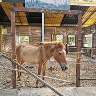 บรรยากาศ Sheep Vil's