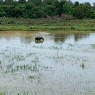 บรรยากาศ สะพานเหล็กโคกขนุน