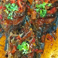 เจ๊หมูข้าวแกงโคตรอร่อย