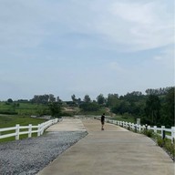 Wisdom Valley