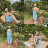 JINJU the orange farm