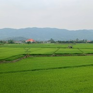 รุ่งอรุณคอฟฟี่วิว