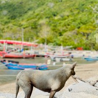 Bay Camp Cafe วนอุทยานเขาตาม่องลาย