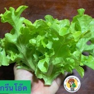 ฮักออร์แกนิคสลัด หมื่นไวย