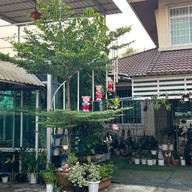 รับฝากเลี้ยงสุนัข Happy the doggy