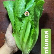 ฮักออร์แกนิคสลัด หมื่นไวย