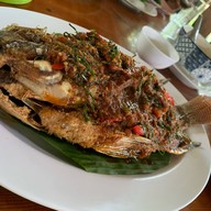 ครัวต้นสน