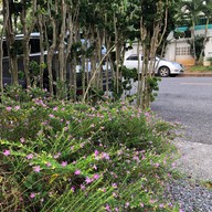 ด้วยกัน