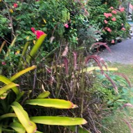 ด้วยกัน