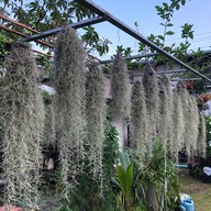 ด้วยกัน