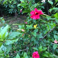 ด้วยกัน