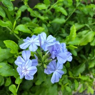 ด้วยกัน