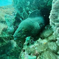 เกาะมุก ชาวเล ทัวร์