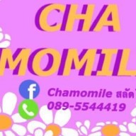 Chamomile สาขาข่วงสิงห์
