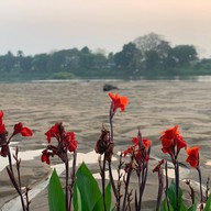 ปิง วิว สวนอาหาร & รีสอร์ท