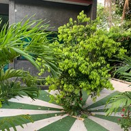 ปิง วิว สวนอาหาร & รีสอร์ท