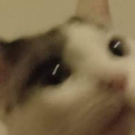 Feelday Eatery สาขาบางแค