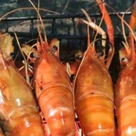 ปลาแซลมอนเสียบไม้ ตลาดเดินเล่น เทอดไท 33