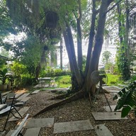 Northern Plants Farm | Cactus Cafe ไชยปราการ