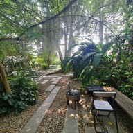 Northern Plants Farm | Cactus Cafe ไชยปราการ