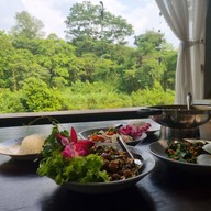 บรรยากาศ เรนฟอเรสท์ เรนฟอเรสท์รีสอร์ท