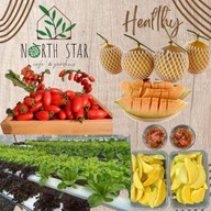 North Star Cafe กาแฟสดในสวน