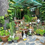 บ้านลานลูกไม้