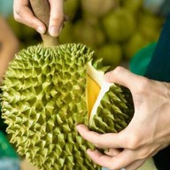 โส่ย ทุเรียนคัดคุณภาพ เกรดพรีเมี่ยม