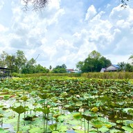 เวนิชkitchen