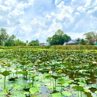 เวนิชkitchen