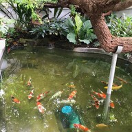 The Color Smile Dental Clinic ปทุมธานี