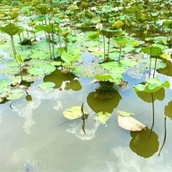 เวนิชkitchen