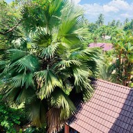 โรงแรมอ่าวมะนาว รีสอร์ท