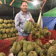 ร้านโกยุทธ ทุเรียนหัวร้อน