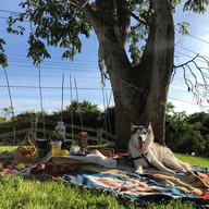 บรรยากาศ Howdy Cafe&bistro