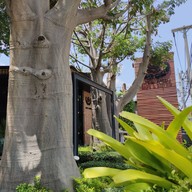 หน้าร้าน S Cafe' & Bistro