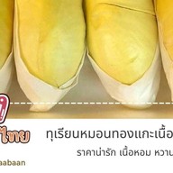 ทุเรียนหน้าบ้าน