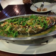 ban's diving resort เกาะเต่า