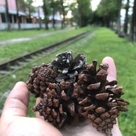 สวนสาธารณะ รื่นอรุณ
