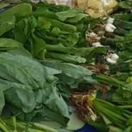 พี่เล็กผักบ้าน พี่เล็กกับข้าวตามสั่ง