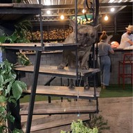 Pierre Pizza ปิแอร์ พิซซ่า