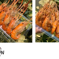 กุ้งหัวมันส์