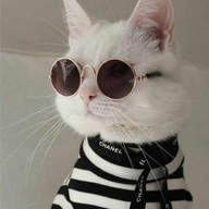 Friend 's house (บ้านเพื่อน) ปทุมธานี