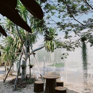 North Star Cafe กาแฟสดในสวน
