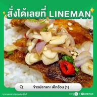 ข้าวปลาแกะ เด็กอ้วน 6