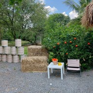 IKi Donut -โดนัทนมฮอกไกโด สไตล์ญี่ปุ่น