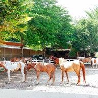 บรรยากาศ บ้านคอกม้าราชบุรีฟาร์ม