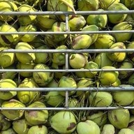 มะพร้าวน้ำหอมดำเนินสะดวก ถอดเสื้อขาวจั๊ว