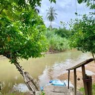 ณ บ้านป่า ก๋วยเตี๋ยวต้มยำ