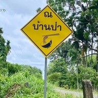 ณ บ้านป่า ก๋วยเตี๋ยวต้มยำ